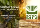 ΕΛΓΑ: Έναρξη Υποβολής Δηλώσεων Ζημιάς για Χαλάζι – Βροχόπτωση
