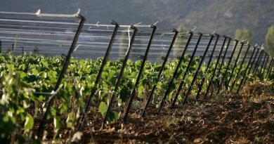 Αρκαδία και Κορινθία υποδέχονται Γερμανούς Sommelier σ’ ένα μοναδικό Fam Trip